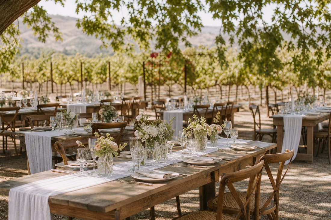 Exemple : tables dressées dans un vignoble, sans personnes